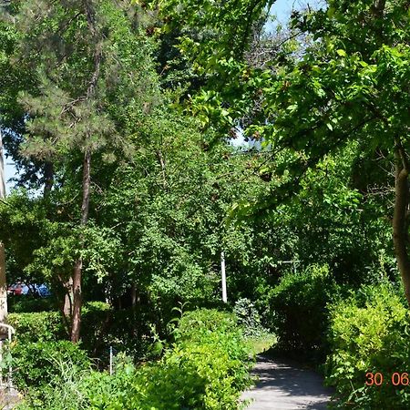 Apartament Antonia Sat Vacanta Κονστάντζα Εξωτερικό φωτογραφία